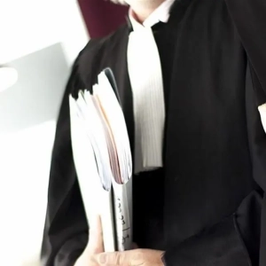التقاضي والتمثيل القانوني التقاضي والتمثيل القانوني